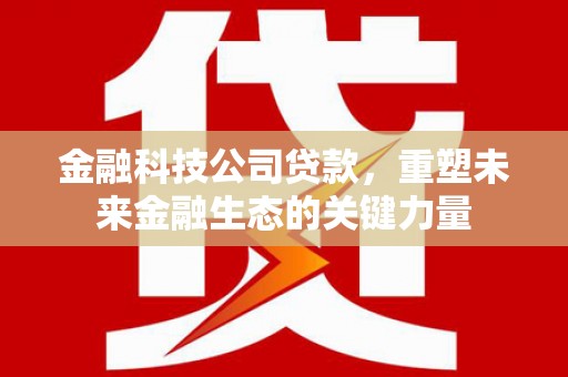 磐石金融科技公司贷款，重塑未来金融生态的关键力量
