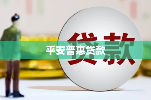 龙陵平安普惠贷款