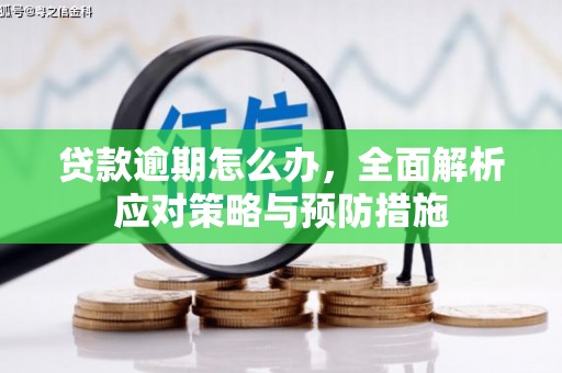 金安贷款逾期怎么办，全面解析应对策略与预防措施