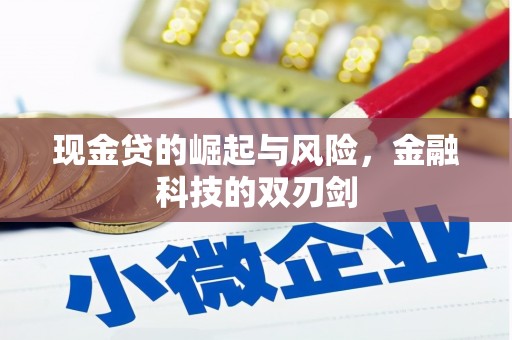碌曲现金贷的崛起与风险，金融科技的双刃剑