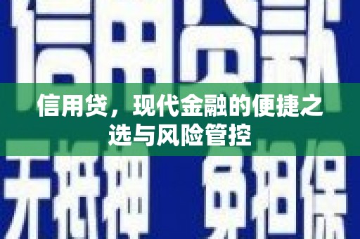 新田信用贷，现代金融的便捷之选与风险管控
