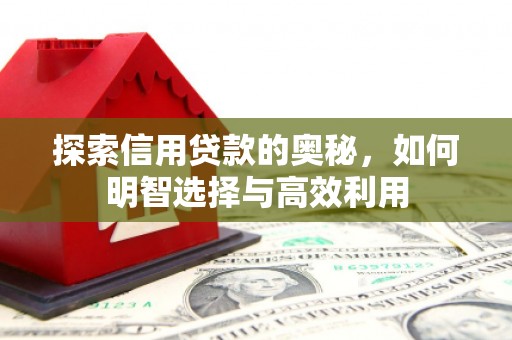 保税区探索信用贷款的奥秘，如何明智选择与高效利用