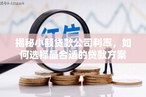 康县揭秘小额贷款公司利率，如何选择最合适的贷款方案