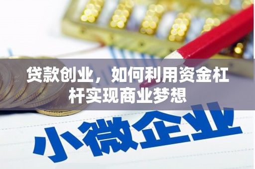 龙州贷款创业，如何利用资金杠杆实现商业梦想