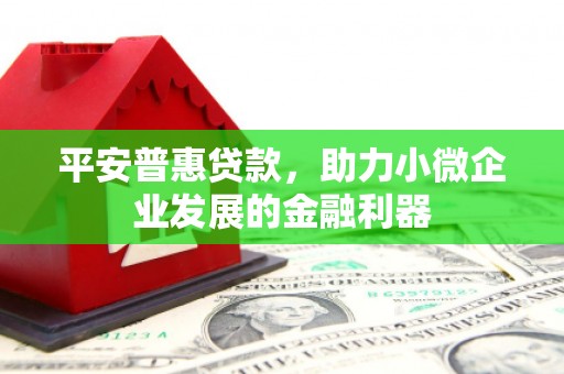 武义县平安普惠贷款，助力小微企业发展的金融利器