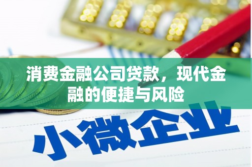 池州消费金融公司贷款，现代金融的便捷与风险