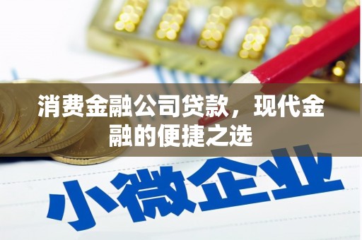 坪林消费金融公司贷款，现代金融的便捷之选