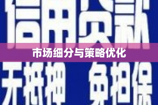 武进市场细分与策略优化