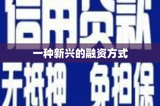 潭子一种新兴的融资方式