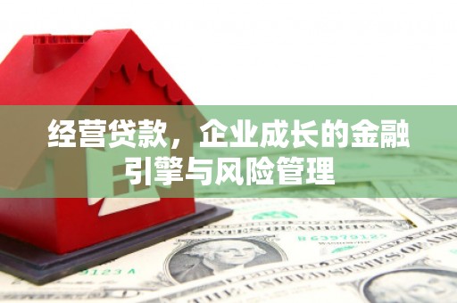 公安经营贷款，企业成长的金融引擎与风险管理