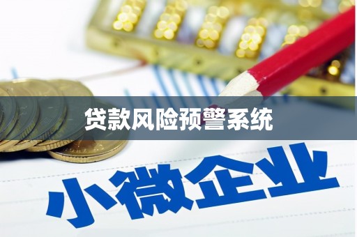武汉贷款风险预警系统